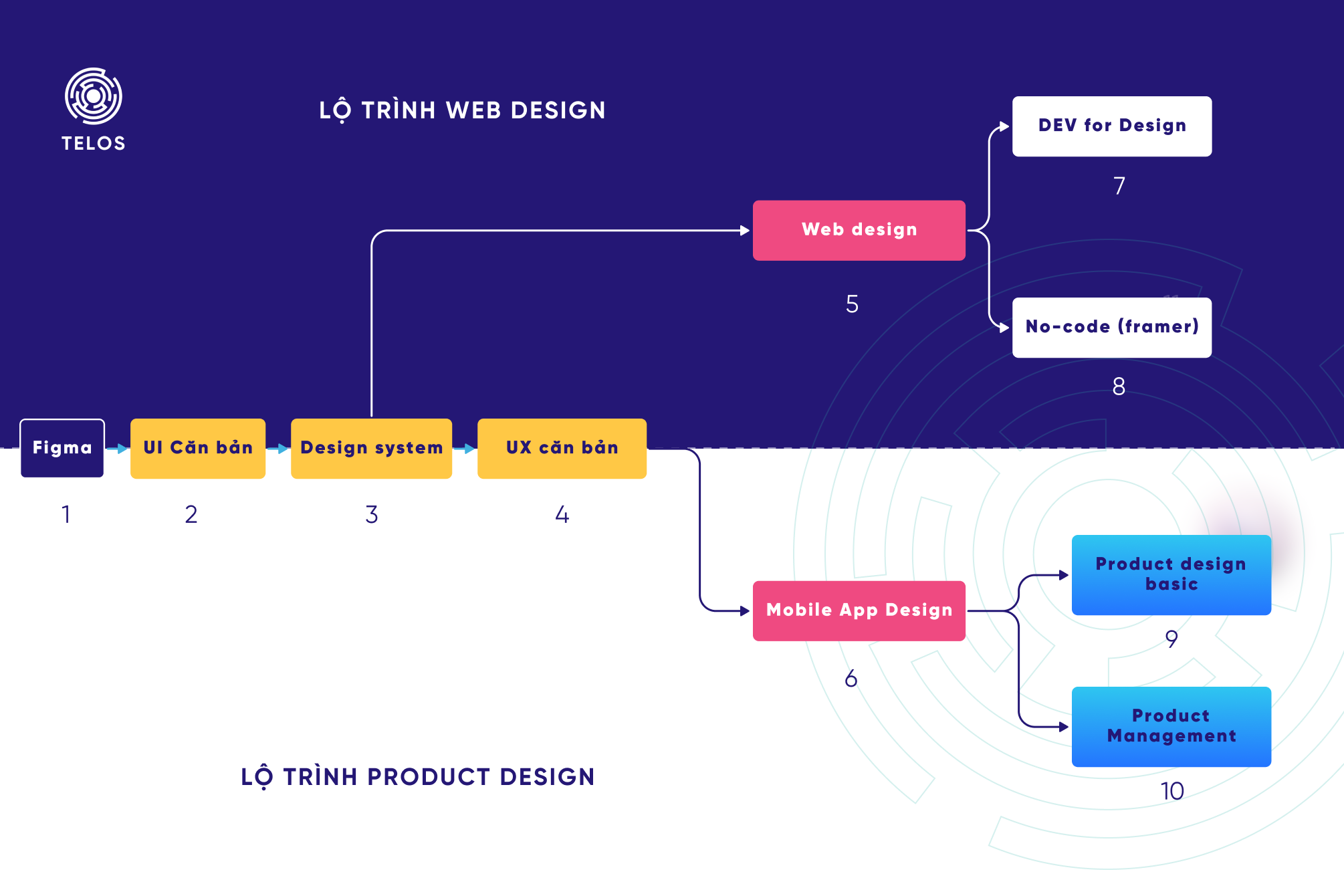 lộ trình phân chia giữa web designer và product designer