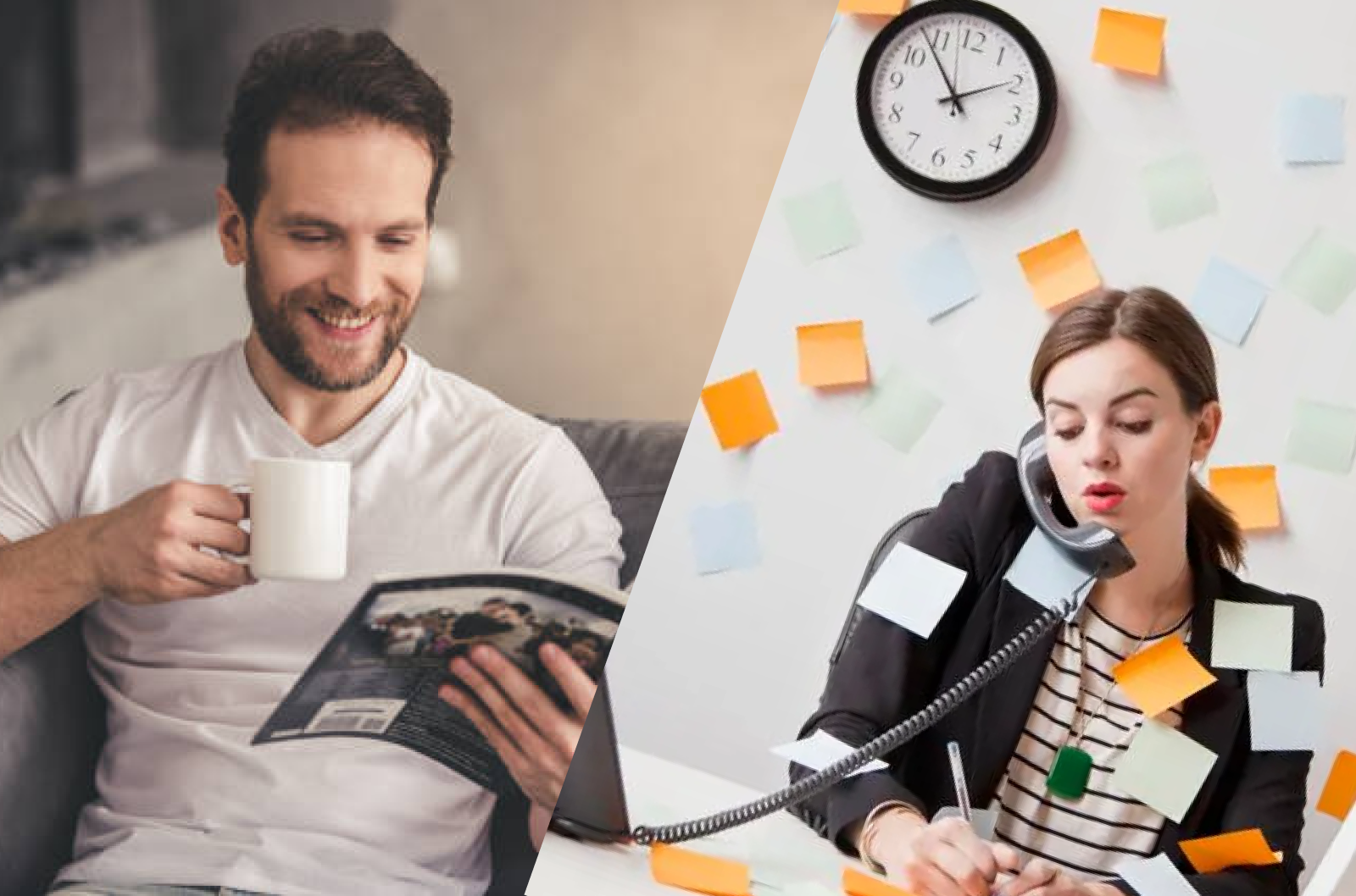 web vs product, cách người dùng cần ở web và product là gì