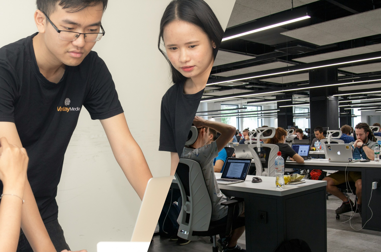 web vs product - môi trường làm việc và con người