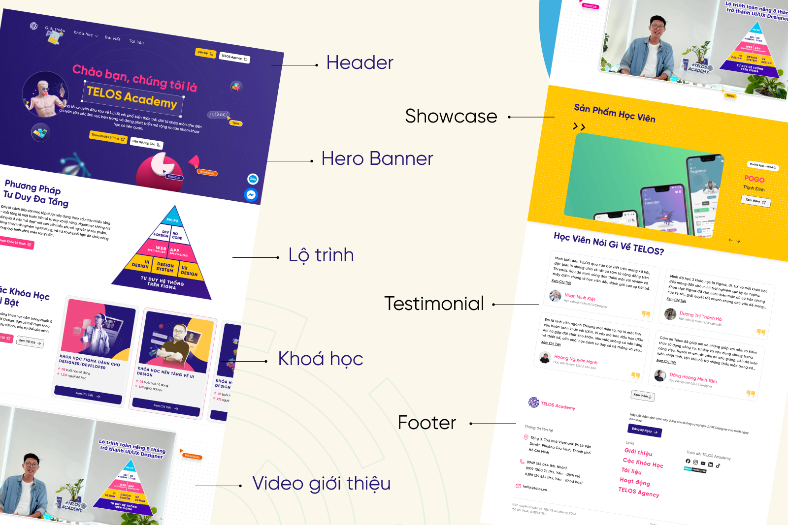 Bố cục website là gì? - phân tích case TELOS Academy